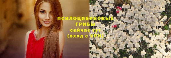 СК Касимов
